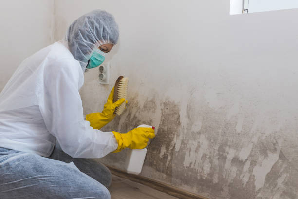Mold Testing and Removal in Archdale, NC