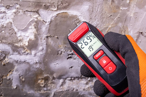 Best Local Mold Removal Service  in Archdale, NC