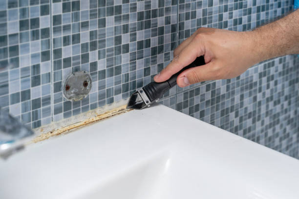 Best Commercial Mold Removal  in Archdale, NC