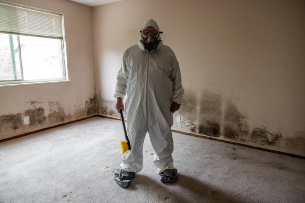 Best Mold Testing  in Archdale, NC